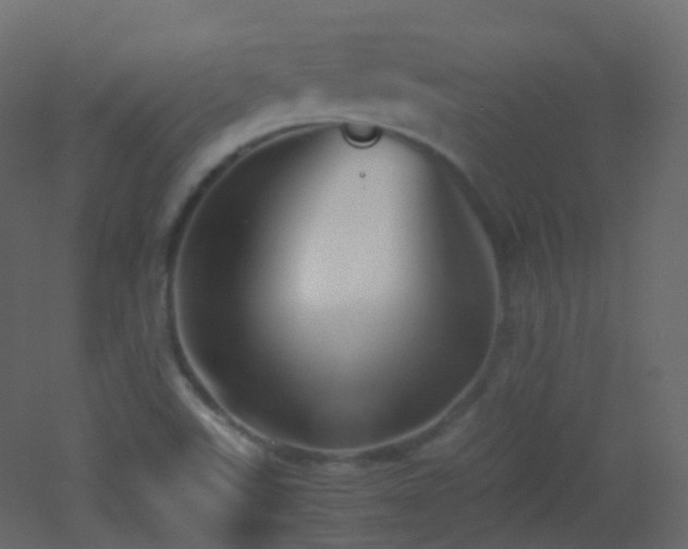 X0000053051507200507111112