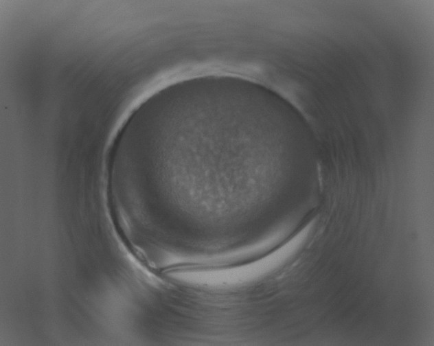 X0000053051508200507111112