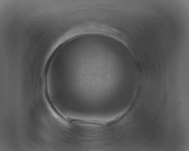 X0000053051515200507111112