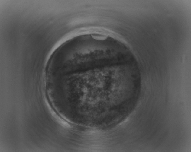 X0000053051522200507111113