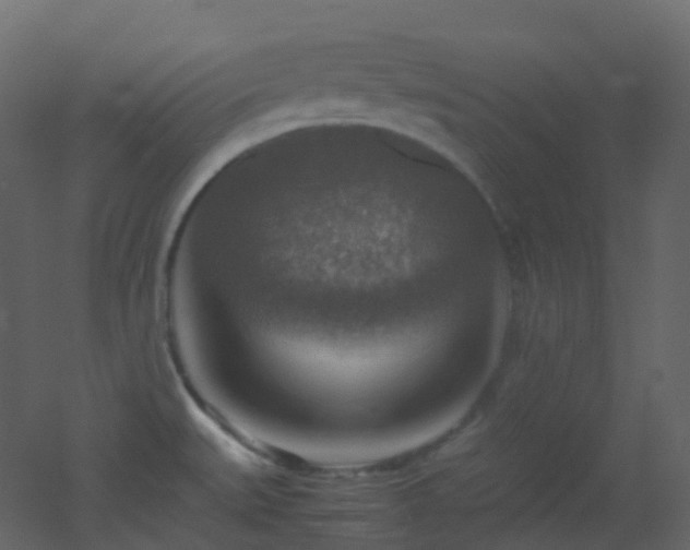 X0000053051527200507111113