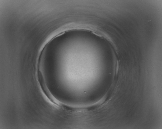X0000053051528200507111113