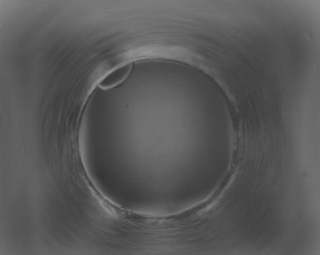 X0000053051529200507111113