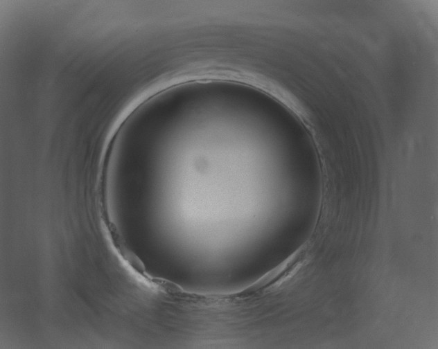 X0000053051536200507111113