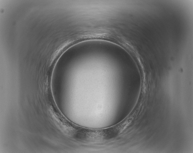 X0000053050107200507181513
