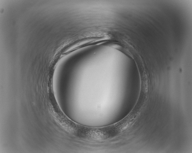 X0000053050207200507181511