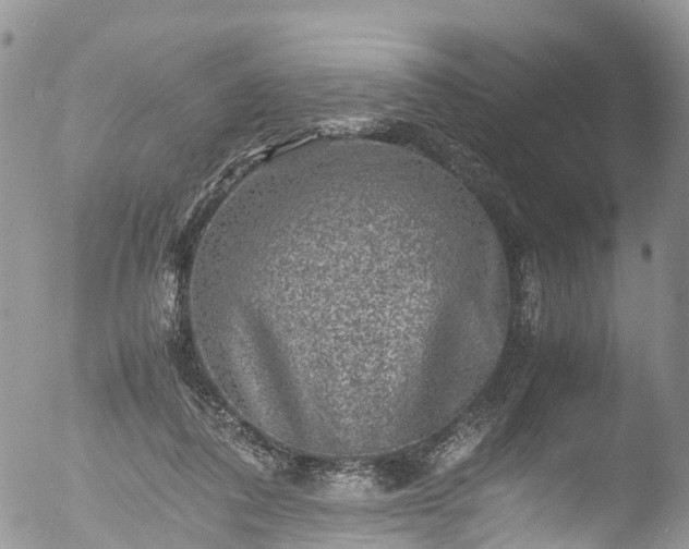X0000053050308200507181510