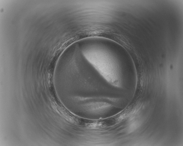 X0000053050366200507181509