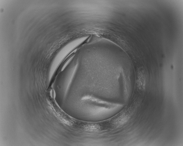 X0000053050402200507181508