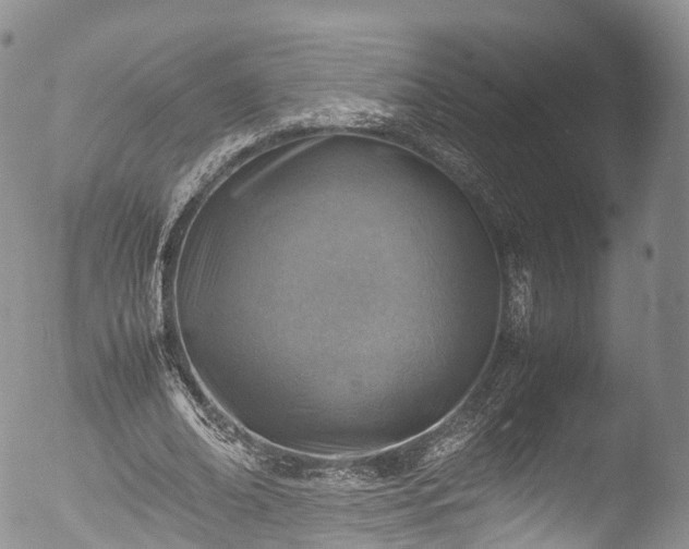 X0000053050678200507181503