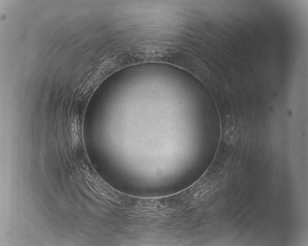 X0000053050866200507181500