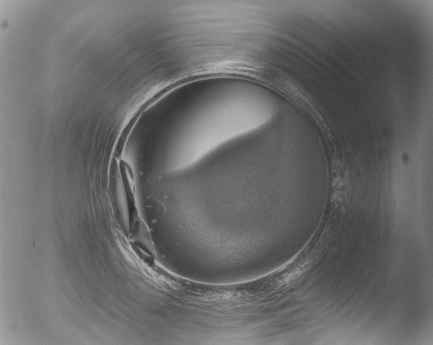 X0000053050892200507181500