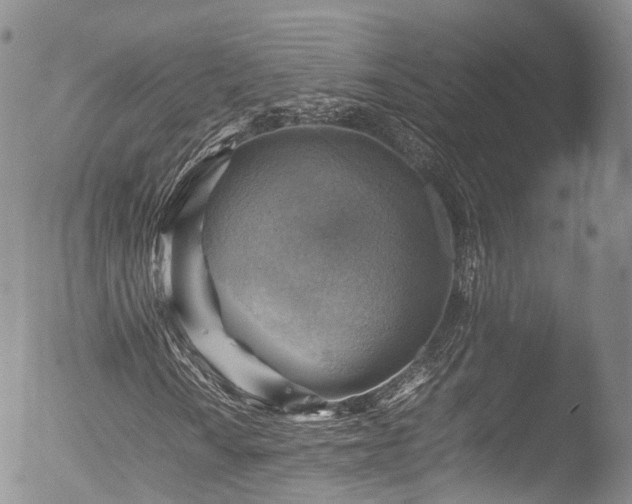 X0000053051010200507181457