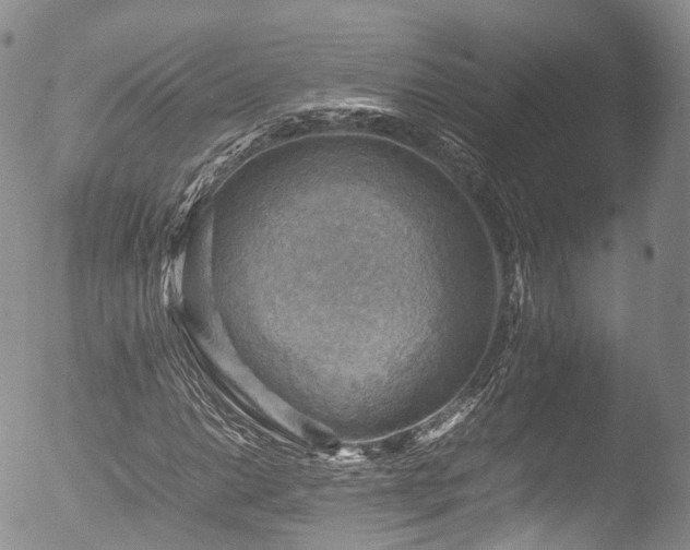 X0000053051014200507181457