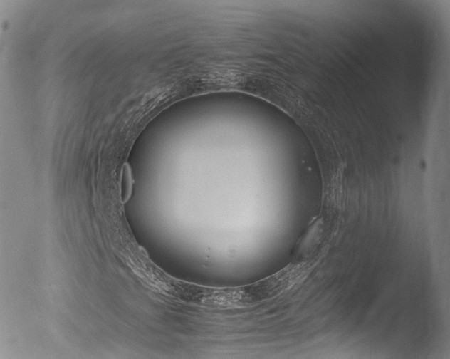X0000053051201200507181454