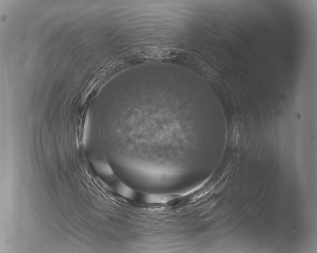 X0000053051202200507181454