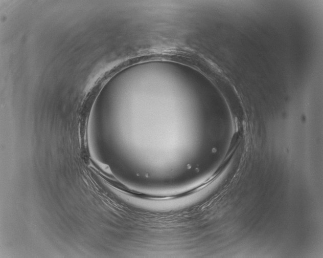 X0000053051214200507181454