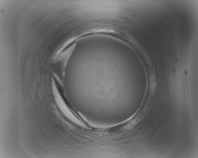 X0000053051369200507181451