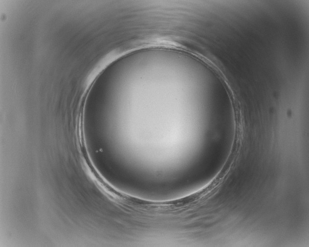 X0000053051391200507181451