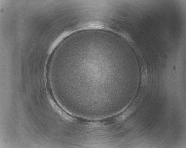 X0000053051422200507181451