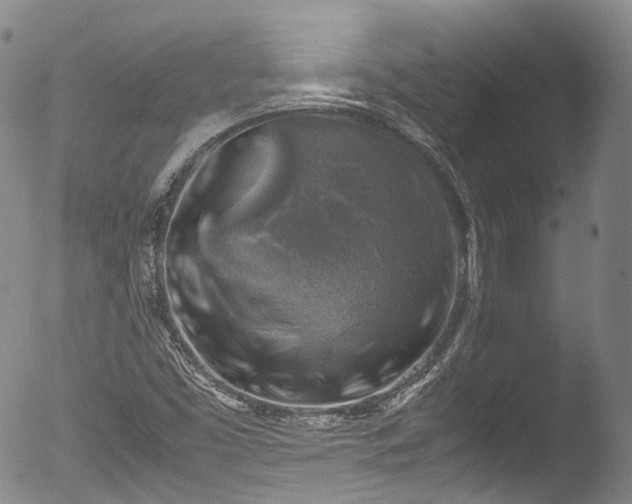 X0000053051453200507181450