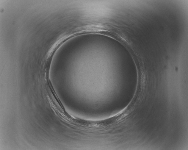 X0000053051459200507181450