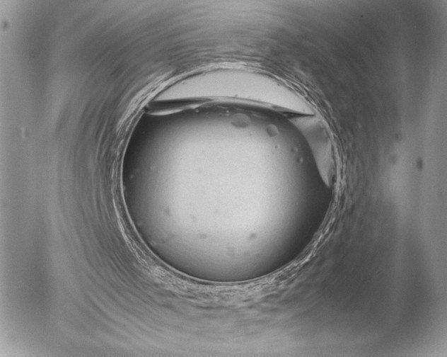 X0000053050001200507251435