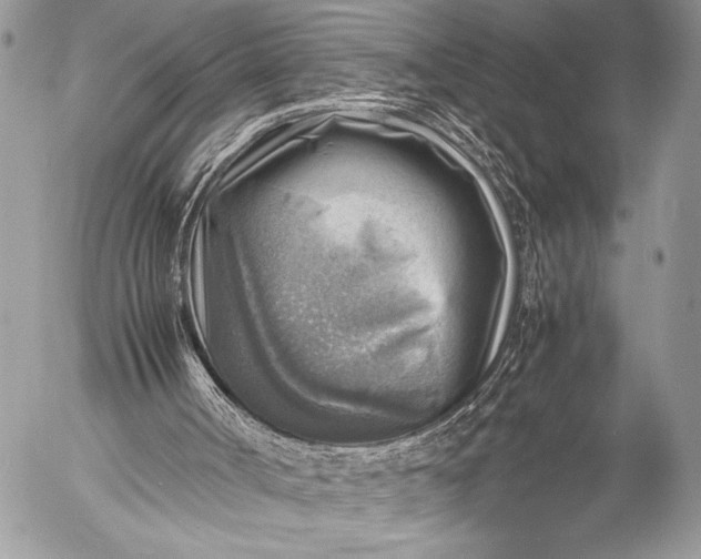 X0000053050002200507251435