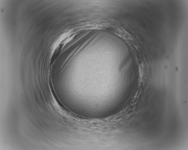 X0000053050003200507251435