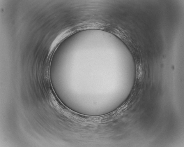 X0000053050004200507251435