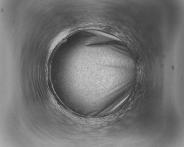 X0000053050006200507251435