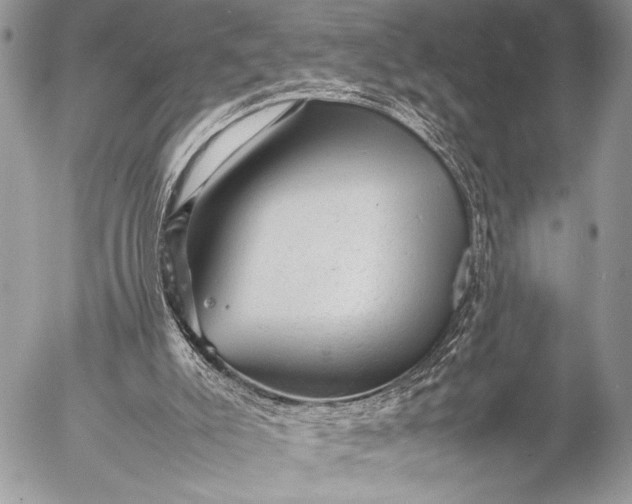 X0000053050007200507251435