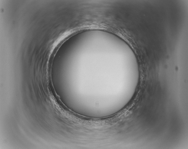 X0000053050008200507251435