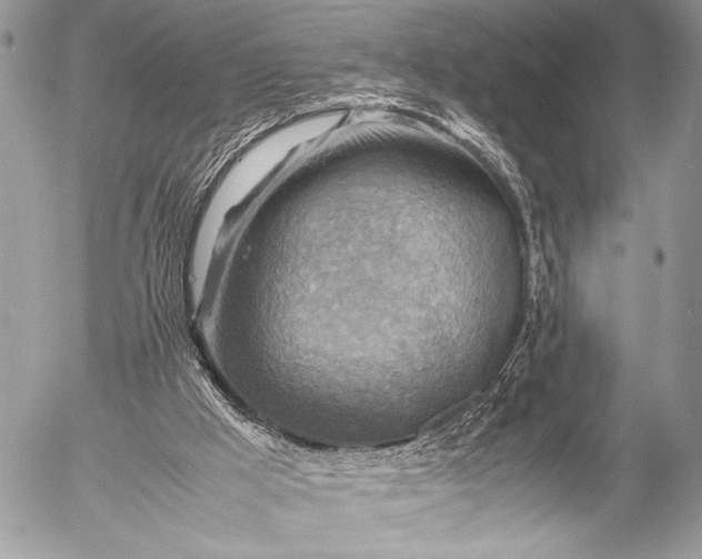 X0000053050009200507251435