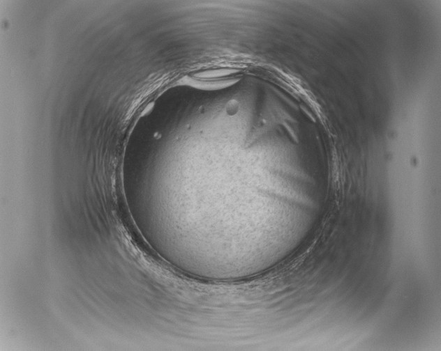 X0000053050010200507251435