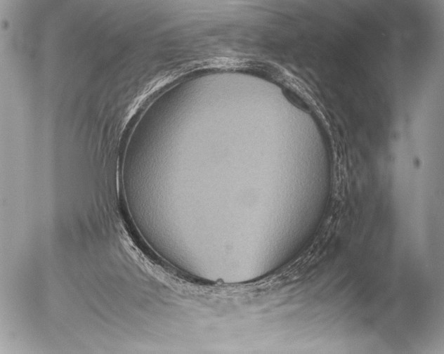 X0000053050011200507251435