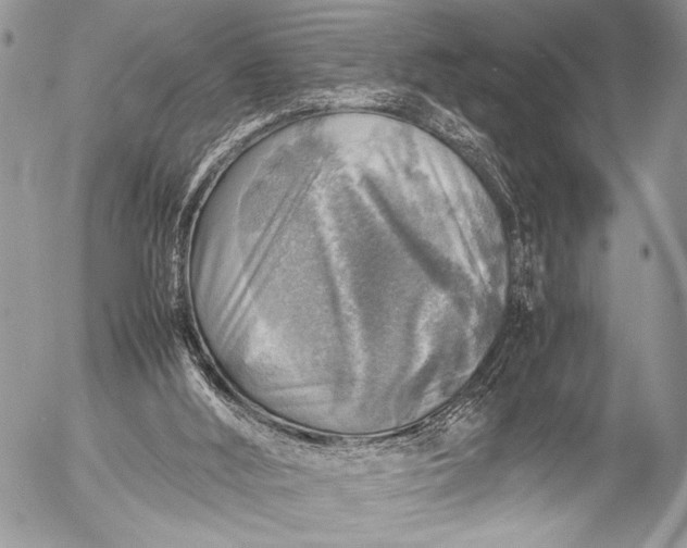 X0000053050012200507251435