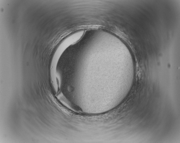 X0000053050013200507251435