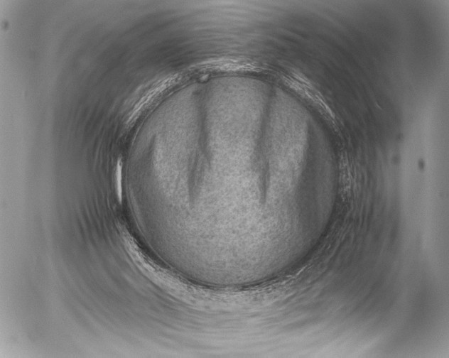 X0000053050014200507251435