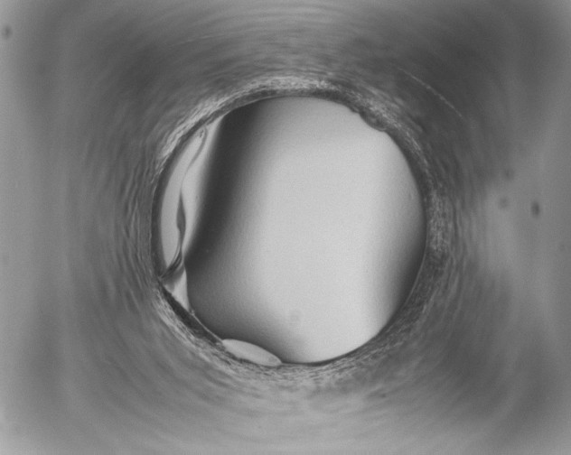 X0000053050015200507251435