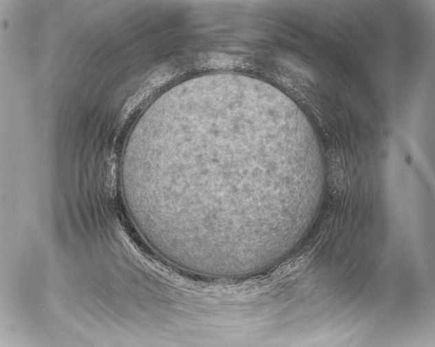 X0000053050016200507251435