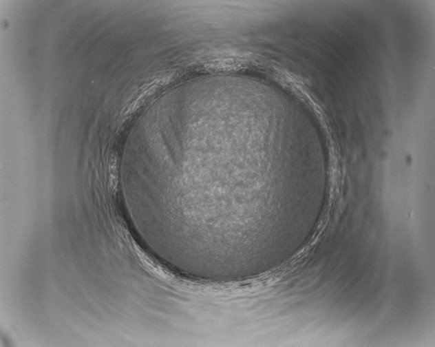 X0000053050017200507251435