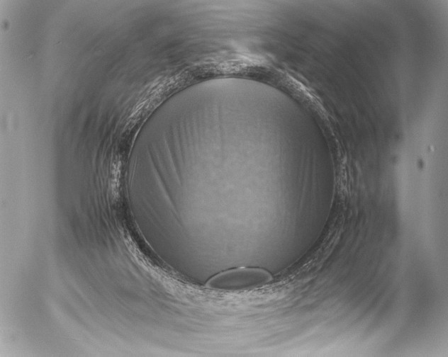 X0000053050018200507251435