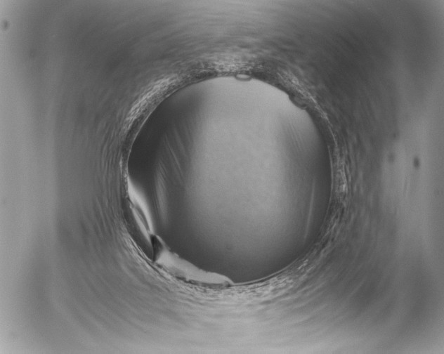 X0000053050019200507251435