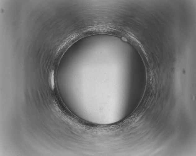 X0000053050020200507251435