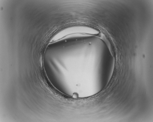 X0000053050021200507251435