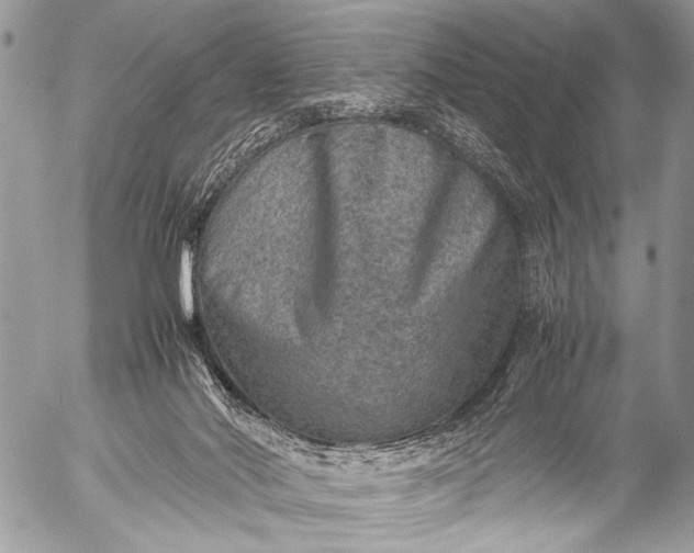 X0000053050022200507251435