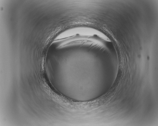 X0000053050023200507251435