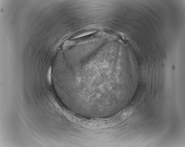 X0000053050024200507251435