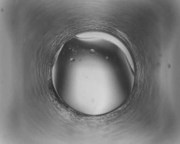 X0000053050025200507251435